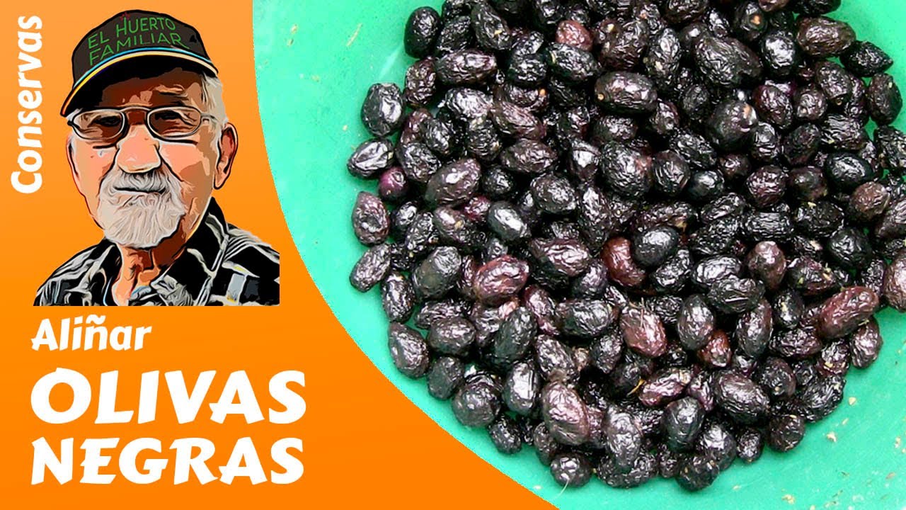 La Receta Tradicional De La Abuela Para Aliñar Aceitunas Negras ¡descubre El Secreto Del Sabor